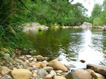 Riverwood Downs Mountain Valley Resort - Accommodation Sunshine Coast 9