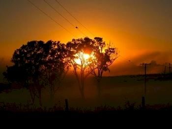 Lochinvar House B&B - Accommodation Sunshine Coast 2