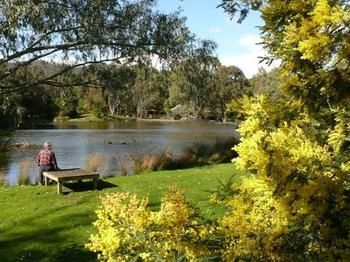 The Burrow At Wombat Bend - Accommodation Sunshine Coast 0