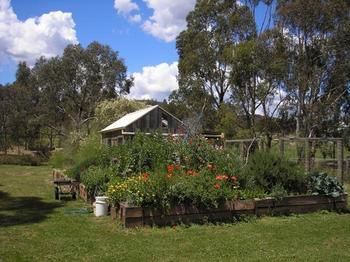 The Burrow At Wombat Bend - Accommodation Sunshine Coast 4