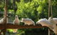 The Burrow At Wombat Bend - thumb 5