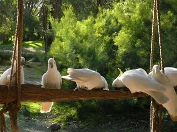 The Burrow At Wombat Bend - Accommodation Sunshine Coast 5