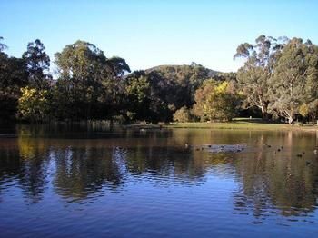 The Burrow At Wombat Bend - Accommodation Sunshine Coast 7