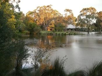 The Burrow At Wombat Bend - Accommodation Sunshine Coast 9