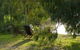 The Burrow At Wombat Bend - thumb 18