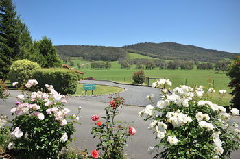 Langbrook Estate Cottages - Accommodation Sunshine Coast 15