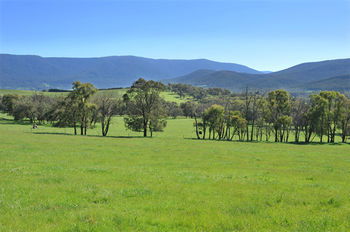 Langbrook Estate Cottages - Accommodation Sunshine Coast 16