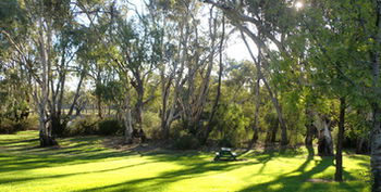 Tooleybuc Motel - Accommodation Sunshine Coast 5