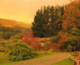 Lyrebird Cottage - Accommodation Sunshine Coast 3
