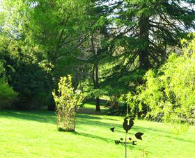 Lyrebird Cottage - Accommodation Sunshine Coast 5