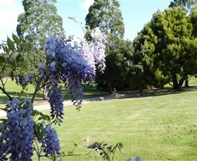 Rowes Retreat Bed And Breakfast - Accommodation Sunshine Coast 3