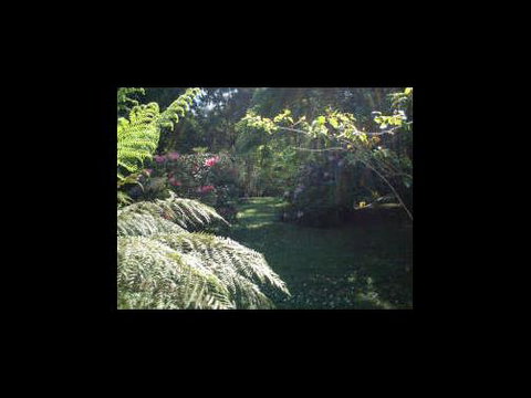 A Country House At Winstanley - Accommodation Sunshine Coast 4
