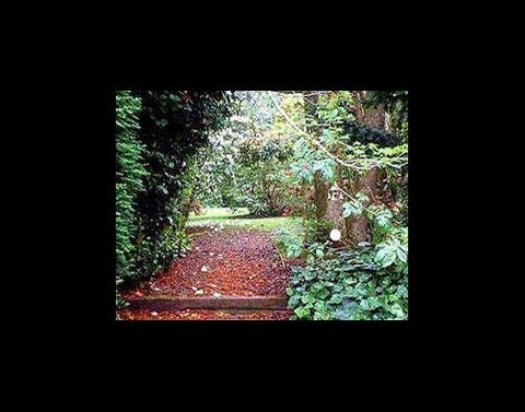 A Country House At Winstanley - Accommodation Sunshine Coast 2