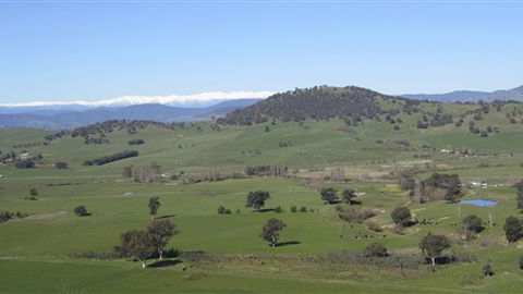 Rancho Relaxo - Accommodation Sunshine Coast 0