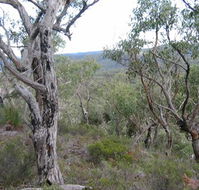 The Glen - Accommodation Sunshine Coast