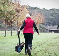 Black Cat Cottage - Accommodation Sunshine Coast