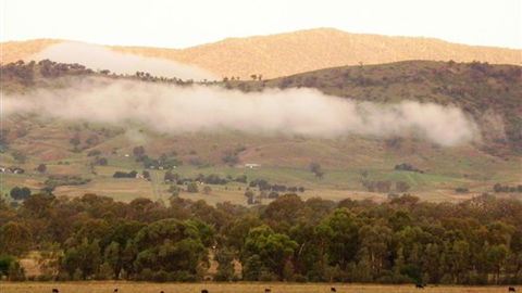 Sweetwater Stays Rural Retreat - Accommodation Sunshine Coast 1
