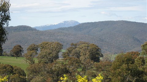 Adelberg - Accommodation Sunshine Coast 6