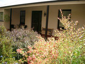 Cotton Palm Cottage - Accommodation Sunshine Coast 0