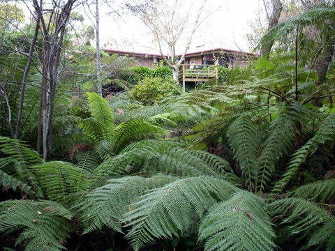 Adelaide Hills Bed & Breakfast Accommodation - Accommodation Sunshine Coast 3