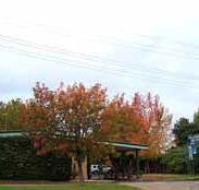 Allambie Motel Pty Ltd - Accommodation Sunshine Coast