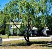 Blue Topaz Caravan Park  Camping Ground - Accommodation Sunshine Coast