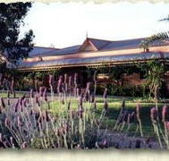 Bluebush Estate - Accommodation Sunshine Coast