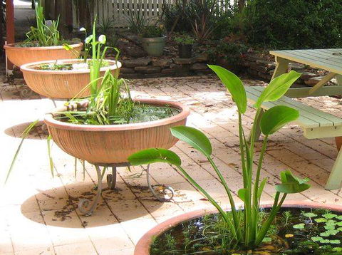 Burwood Bed & Breakfast - Accommodation Sunshine Coast 3