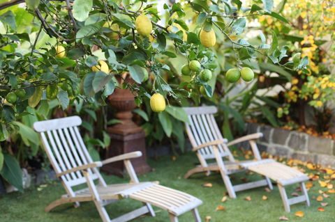 Captains Retreat B&B - Accommodation Sunshine Coast 1