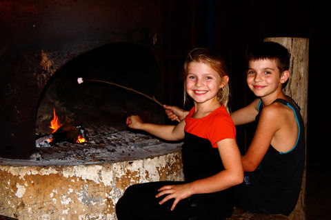 Fontys Pool Caravan Park And Chalets - Accommodation Sunshine Coast 5