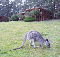 Jenolan Caves Cottages - Accommodation Sunshine Coast