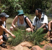 Nitmiluk Tours  Accommodation - Accommodation Sunshine Coast