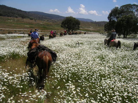 Reynella Kosciusko Rides Homestead - Accommodation Sunshine Coast 8