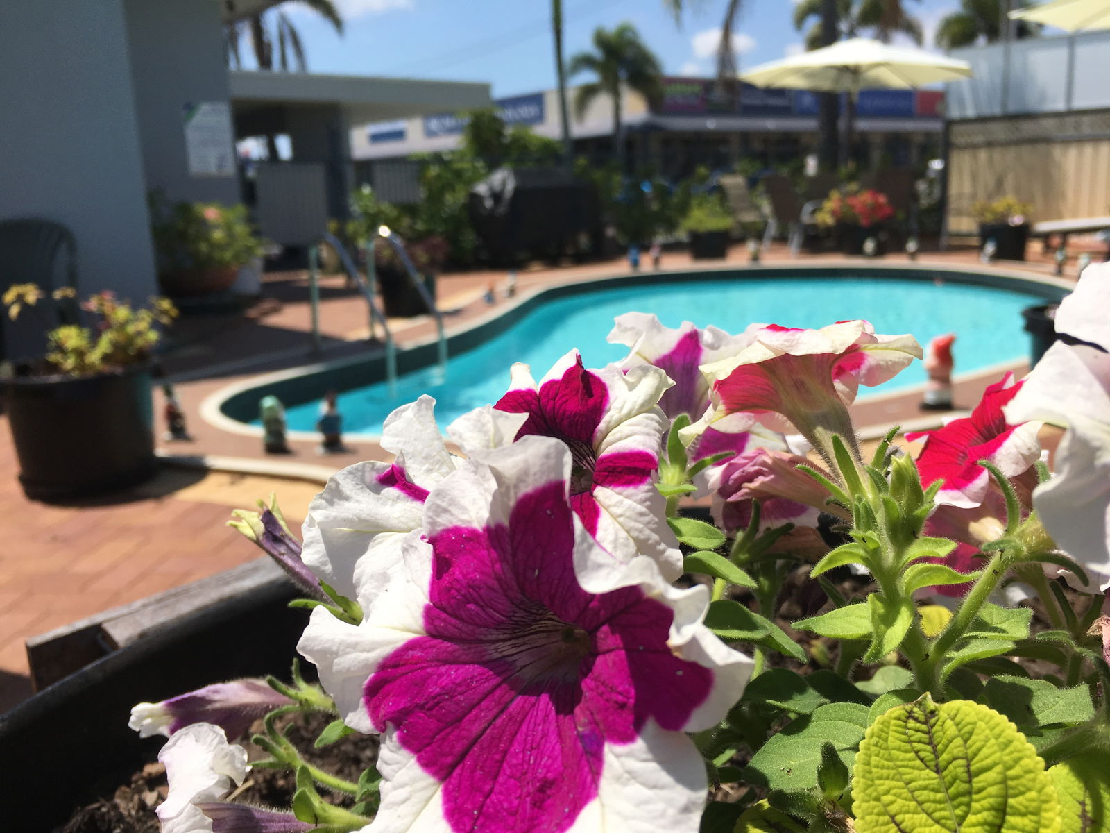  Accommodation Sunshine Coast