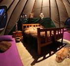 Aranyani Bison Adventure Tourist Park - Accommodation Sunshine Coast