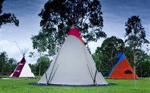 Aranyani Bison Adventure Tourist Park - Accommodation Sunshine Coast 1