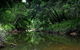 Aranyani Bison Adventure Tourist Park - thumb 3