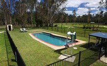 Aranyani Bison Adventure Tourist Park - Accommodation Sunshine Coast 4