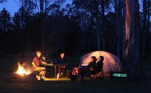 Aranyani Bison Adventure Tourist Park - Accommodation Sunshine Coast 2