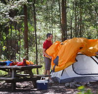 Bald Rock campground and picnic area - Accommodation Sunshine Coast