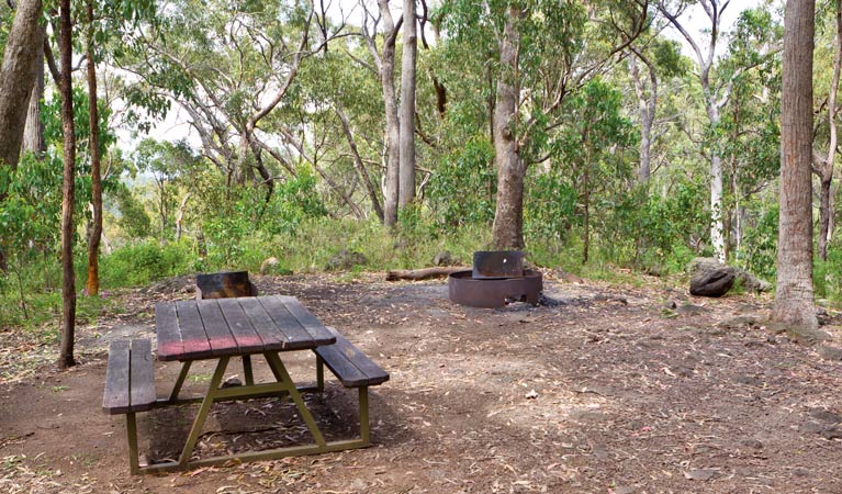 Kaputar NSW Accommodation Sunshine Coast
