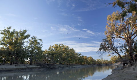 Darling River Campground - Accommodation Sunshine Coast 0