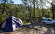 Deua River Campgrounds - Deua - thumb 0