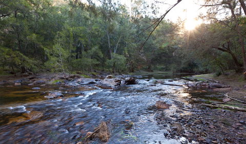 Deua River Campgrounds - Deua - Accommodation Sunshine Coast 1