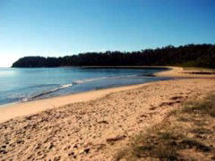 Seahorse Inn Hotel - Accommodation Sunshine Coast 4