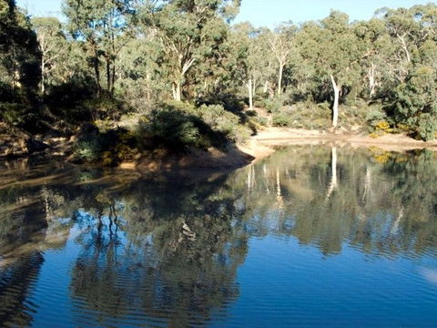 Toodyay Holiday Park & Chalets - Accommodation Sunshine Coast 4