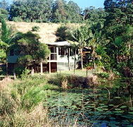 Walkabout Holiday House - Accommodation Sunshine Coast