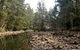 Ferndale Caravan Park - thumb 2
