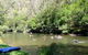 Ferndale Caravan Park - thumb 3