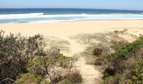 Gillards Campground - Accommodation Sunshine Coast 1